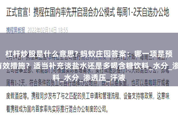 杠杆炒股是什么意思? 蚂蚁庄园答案：哪一项是预防中暑的有效措施？适当补充淡盐水还是多喝含糖饮料_水分_渗透压_汗液
