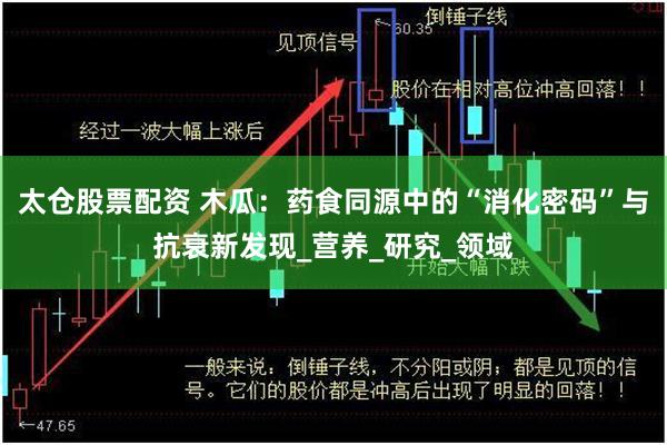 太仓股票配资 木瓜：药食同源中的“消化密码”与抗衰新发现_营养_研究_领域