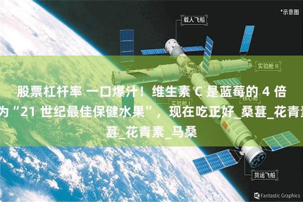 股票杠杆率 一口爆汁！维生素 C 是蓝莓的 4 倍，被誉为“21 世纪最佳保健水果”，现在吃正好_桑葚_花青素_马桑
