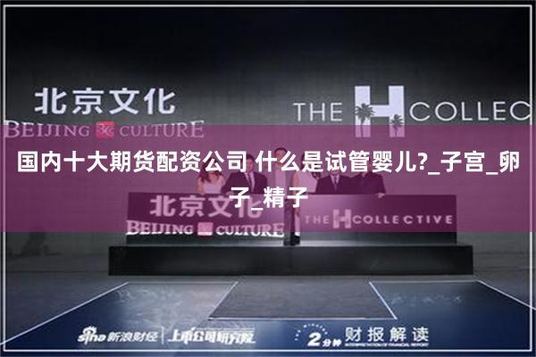 国内十大期货配资公司 什么是试管婴儿?_子宫_卵子_精子