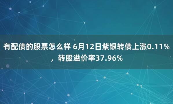 有配债的股票怎么样 6月12日紫银转债上涨0.11%，转股溢价率37.96%
