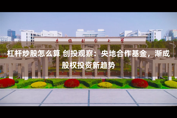 杠杆炒股怎么算 创投观察：央地合作基金，渐成股权投资新趋势