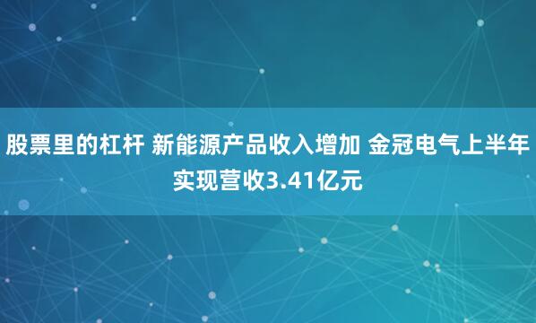 股票里的杠杆 新能源产品收入增加 金冠电气上半年实现营收3.41亿元
