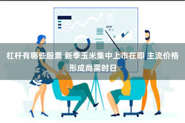 杠杆有哪些股票 新季玉米集中上市在即 主流价格形成尚需时日
