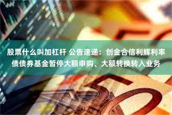 股票什么叫加杠杆 公告速递：创金合信利辉利率债债券基金暂停大额申购、大额转换转入业务