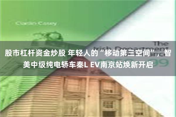股市杠杆资金炒股 年轻人的“移动第三空间”，智美中级纯电轿车秦L EV南京站焕新开启