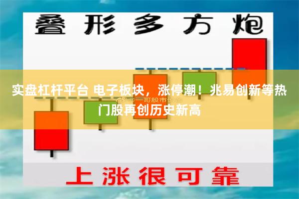 实盘杠杆平台 电子板块，涨停潮！兆易创新等热门股再创历史新高